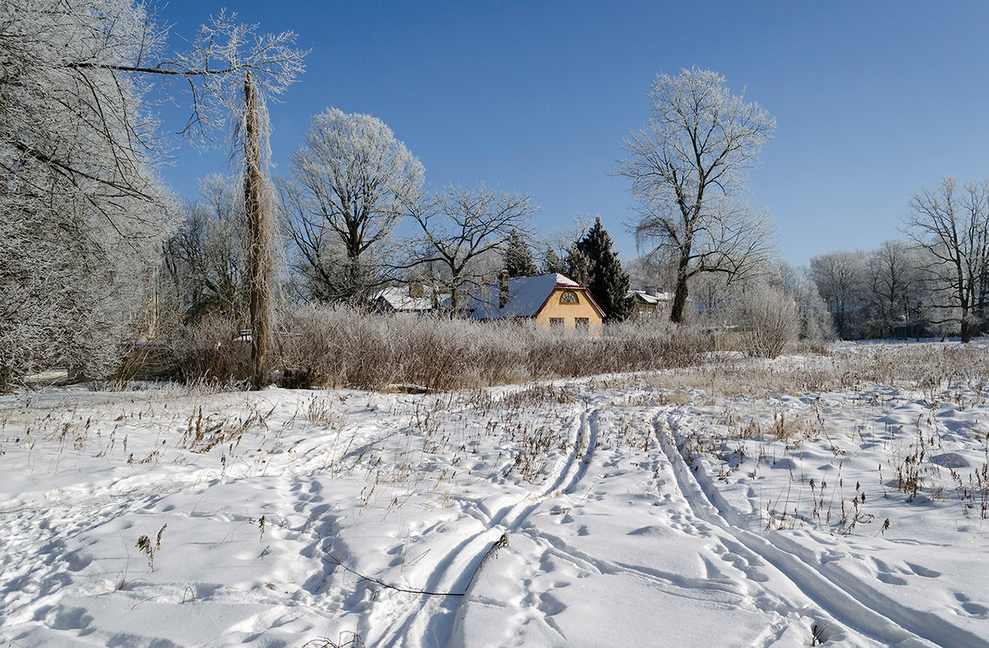 �����: ��������� ������