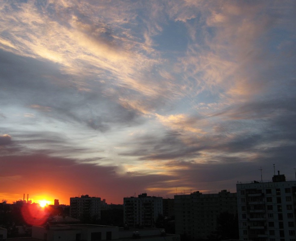 �����: �������