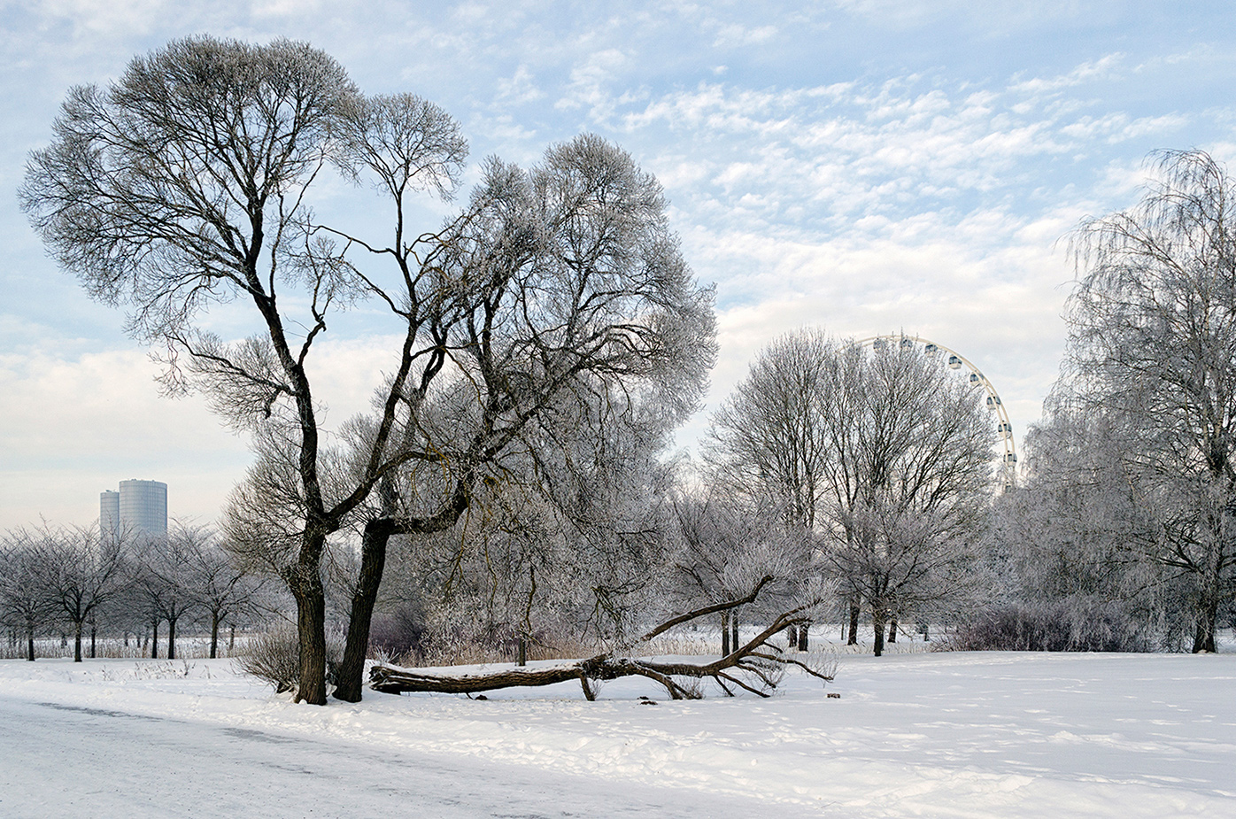 �����: ***