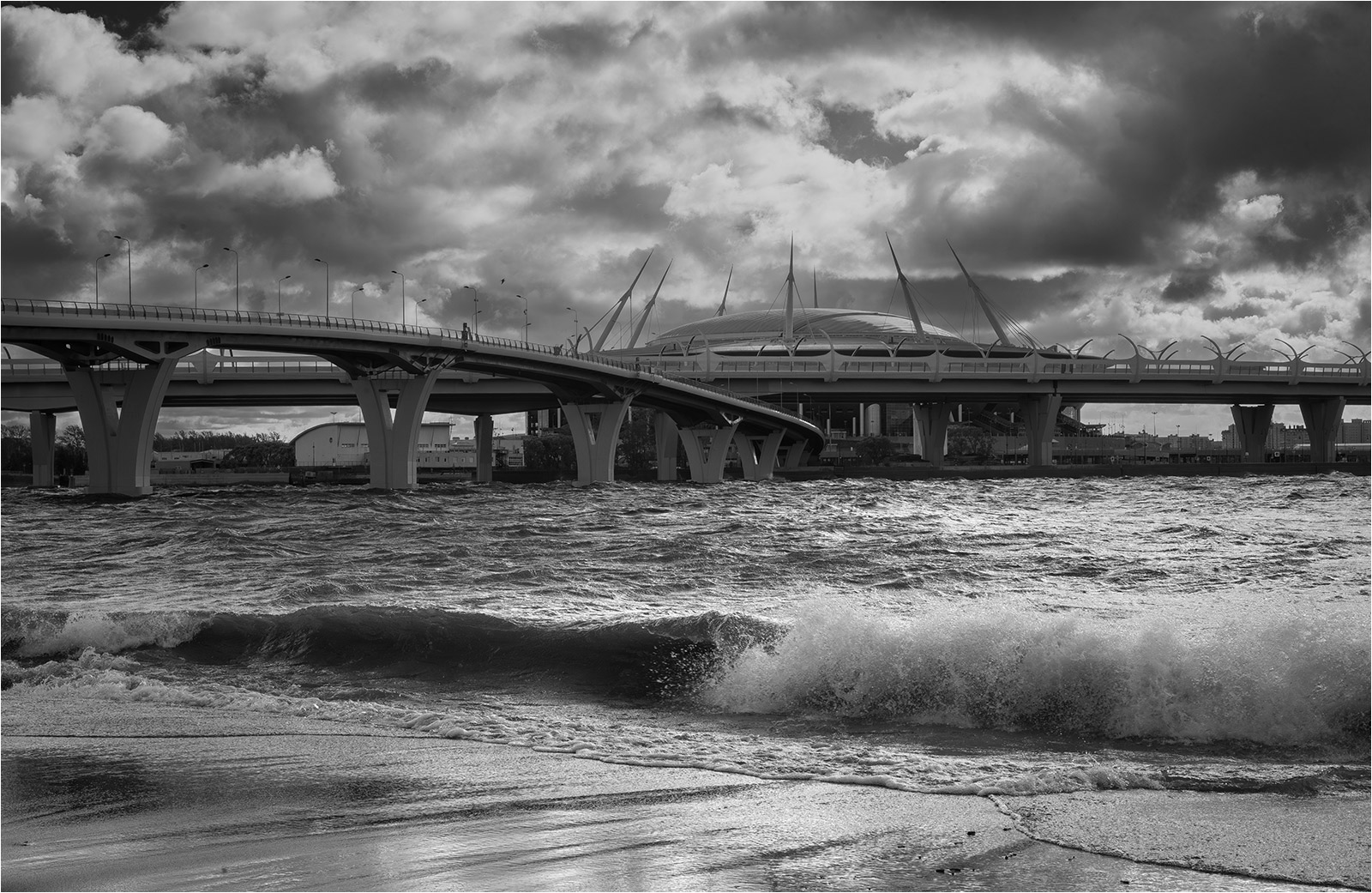 �����: �����, �����, ������