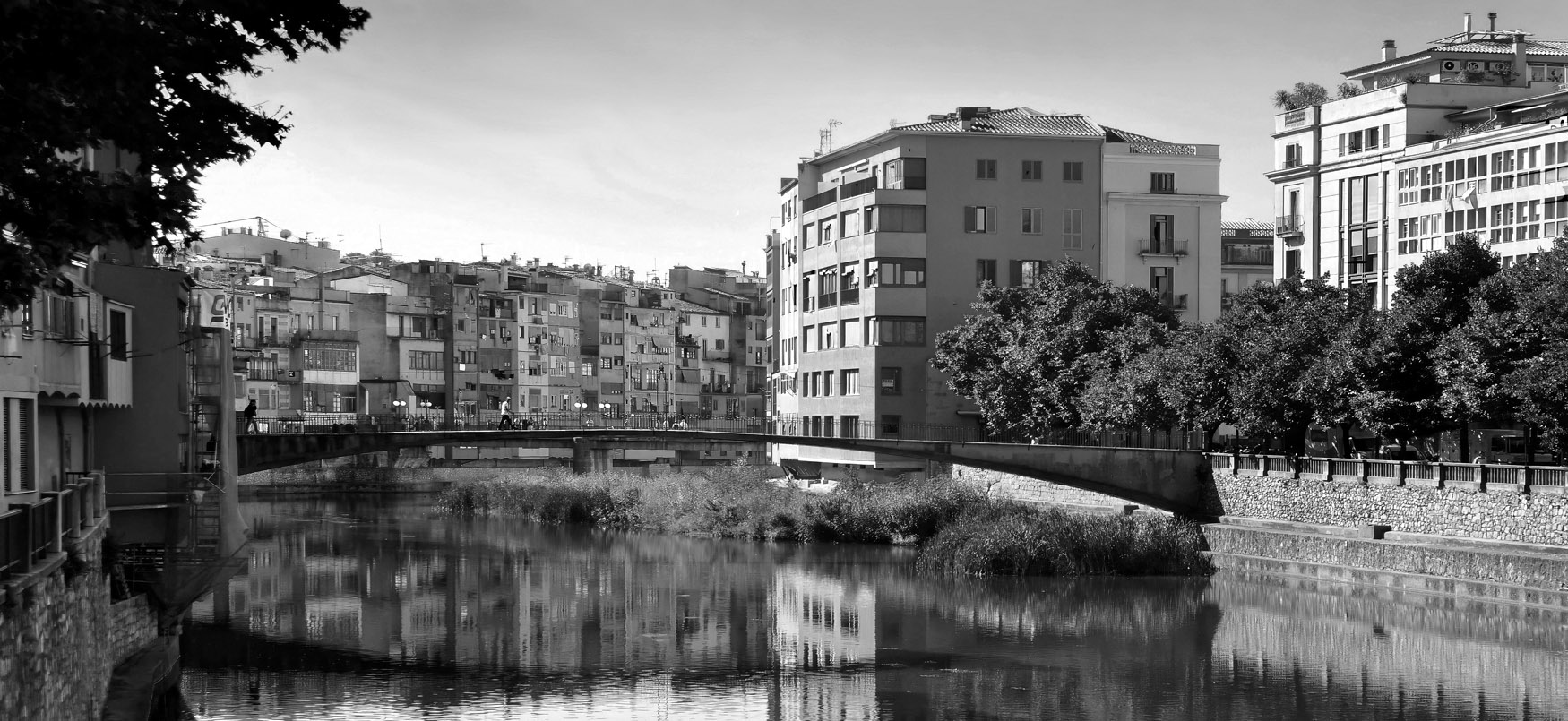 �����: ��������� ��������