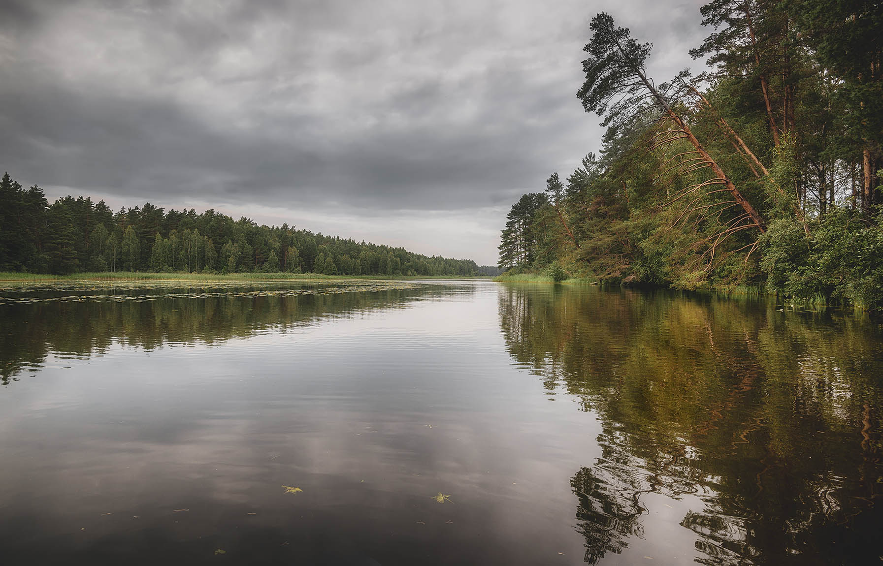 ������: ���������