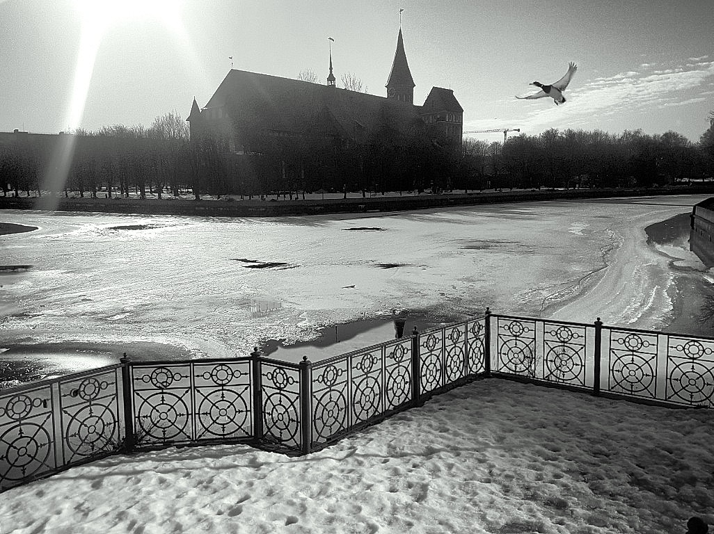 ������: ��������� �������.