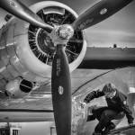 ����������
���������
����