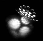 ����������
���������
����